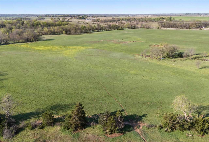 Lots/land,Unplatted,HWY 177,131774