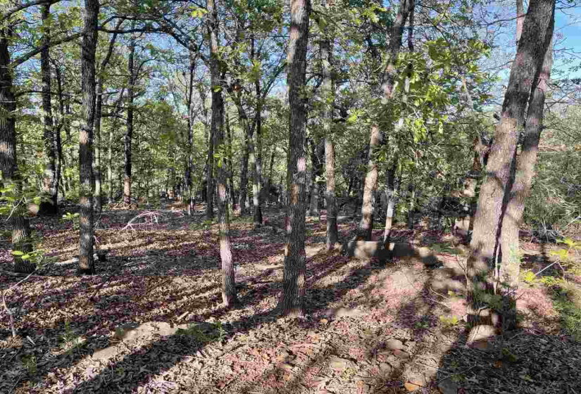Lots/land,Platted,Diamond Point,131898