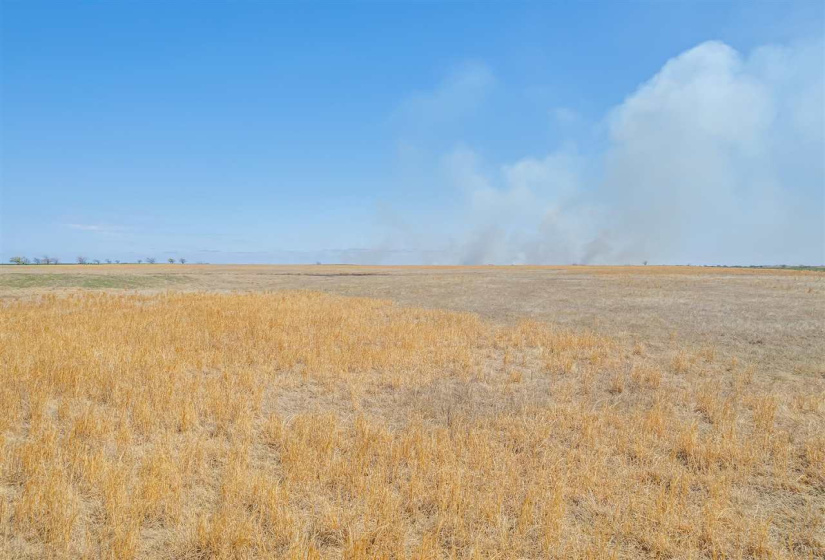 Lots/land,Unplatted,33800,131899