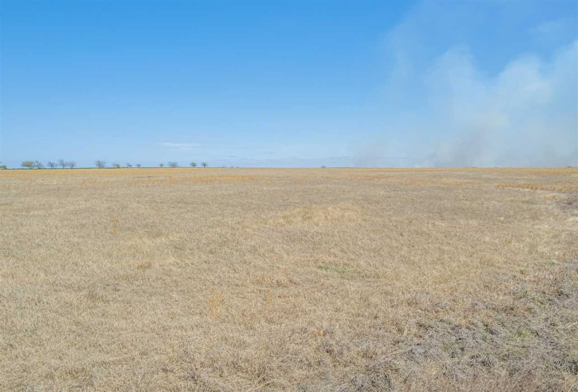 Lots/land,Unplatted,33800,131899