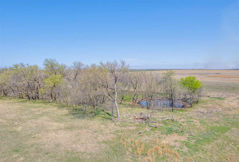 Lots/land,Unplatted,33800,131899