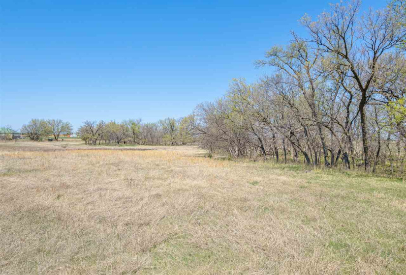 Lots/land,Unplatted,33800,131899
