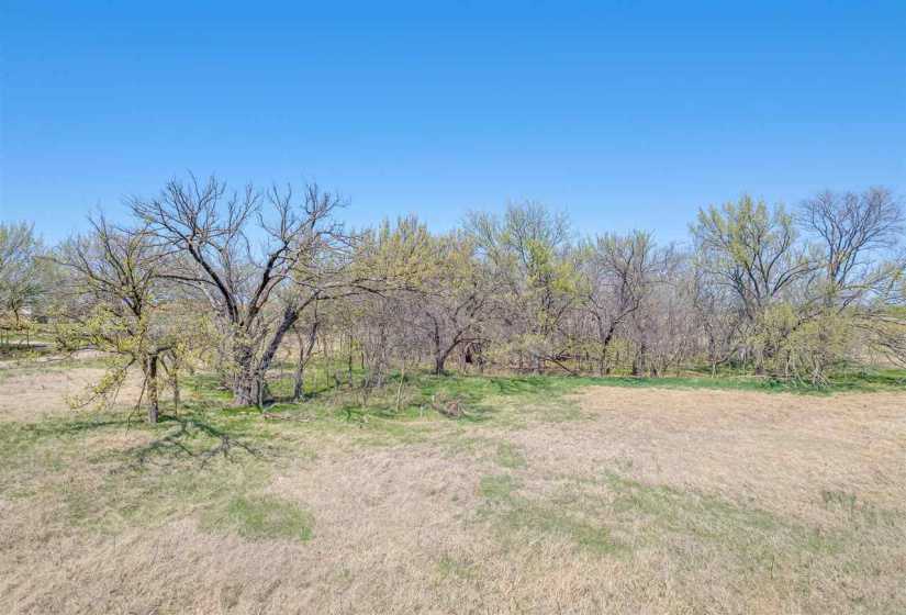 Lots/land,Unplatted,33800,131899