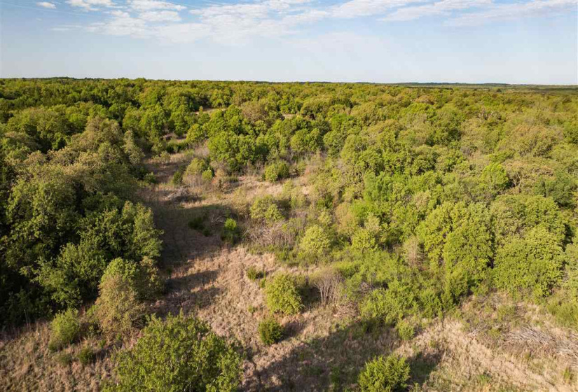 0 , 0 ,0,Lots/land,Unplatted,Cooksey,0,131991