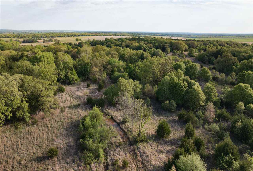 0 , 0 ,0,Lots/land,Unplatted,Cooksey,0,131991