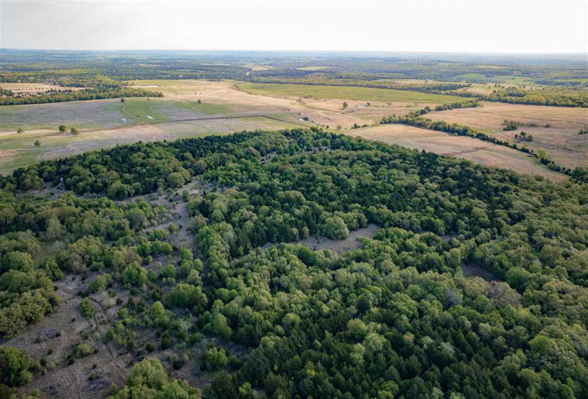 0 , 0 ,0,Lots/land,Unplatted,Cooksey,0,131991