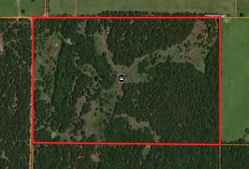 0 , 0 ,0,Lots/land,Unplatted,Cooksey,0,131991