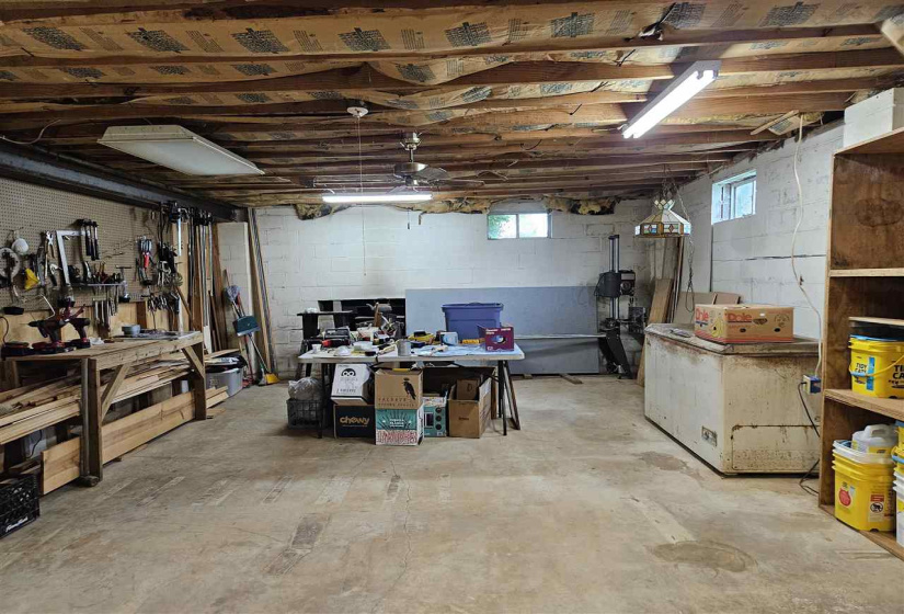 Basement Workshop