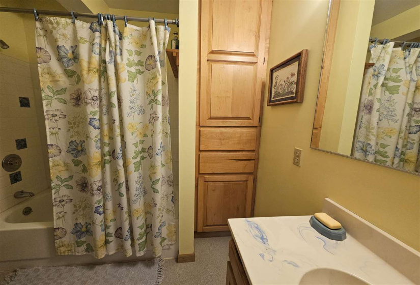Basement Bathroom