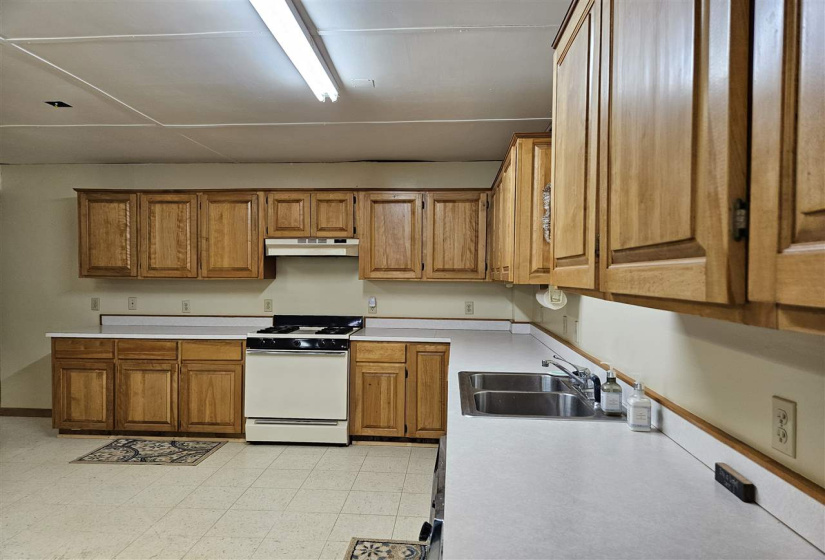 Basement Kitchen