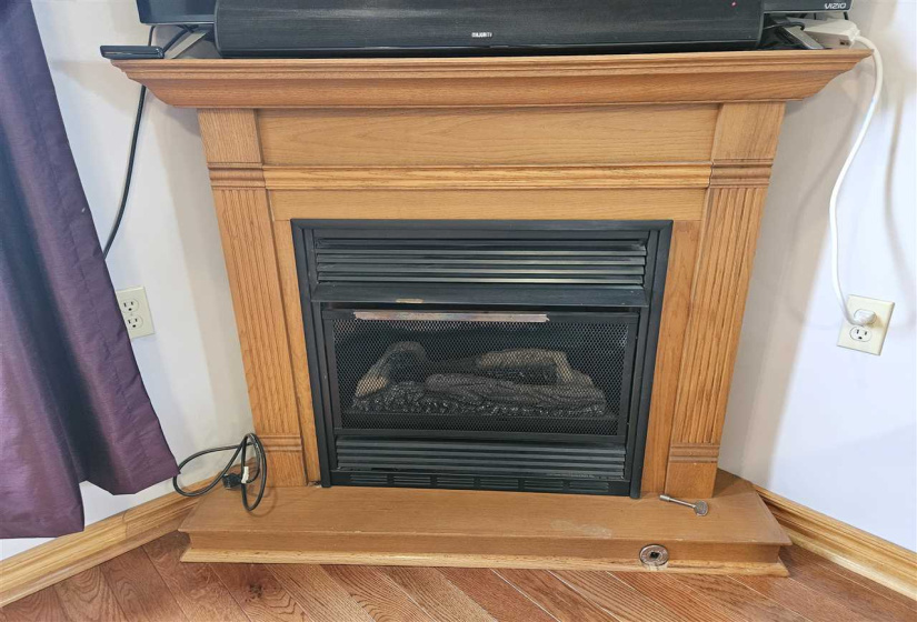 Propane Fireplace