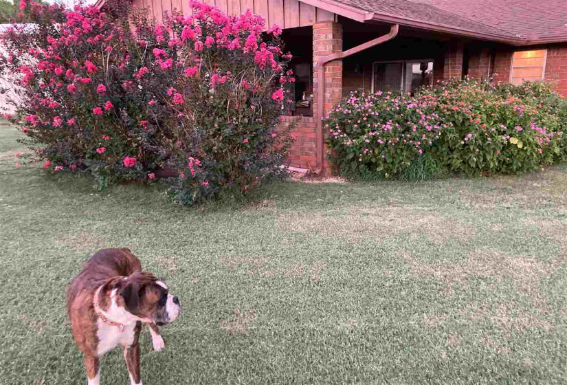 3 Bedrooms Bedrooms, ,3 BathroomsBathrooms,Residential,Single Family,Manning,1,132050