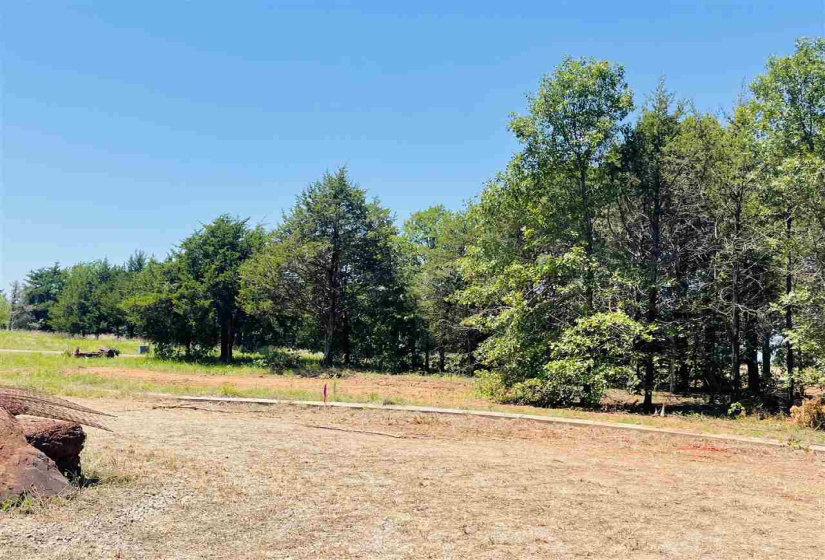 Lots/land,Platted,Bois D'Arc,132053