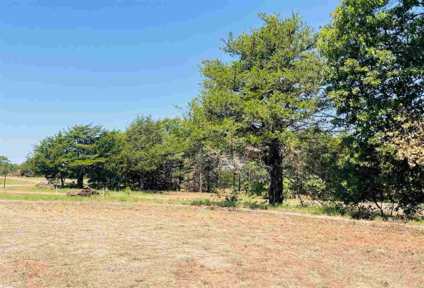Lots/land,Platted,Bois D'Arc,132053