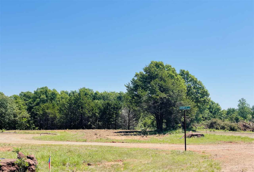 Lots/land,Platted,Bois D'Arc,132053