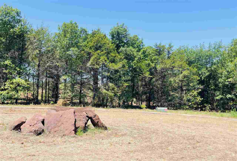 Lots/land,Platted,Bois D'Arc,132053