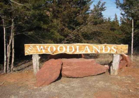 Lots/land,Platted,Bois D'Arc,132064