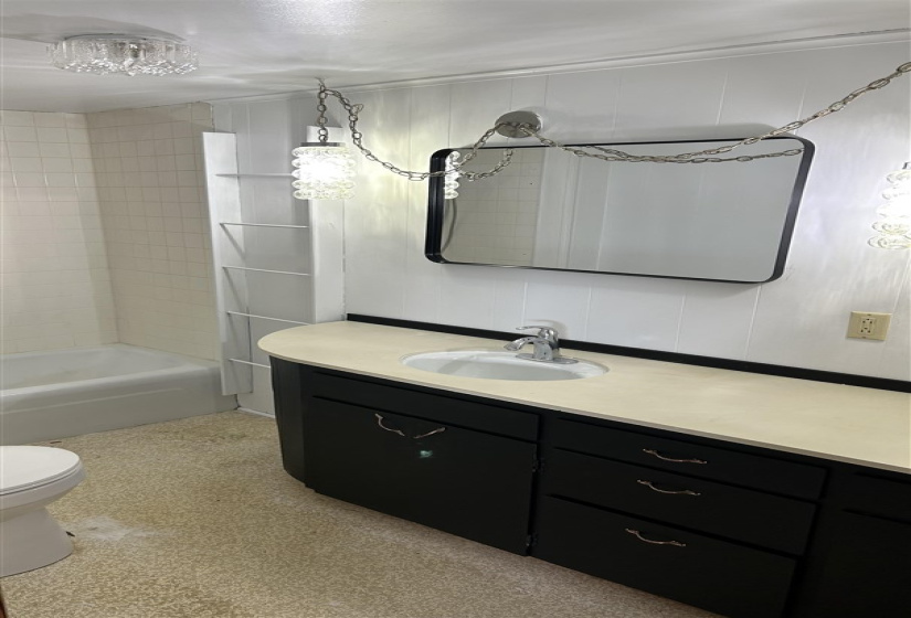 bathroom in main bedroom