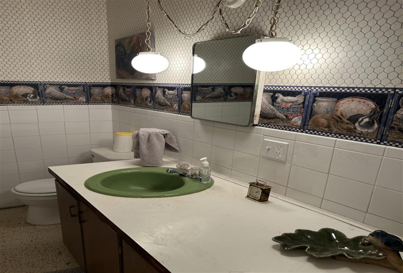 guest bathroom by utility