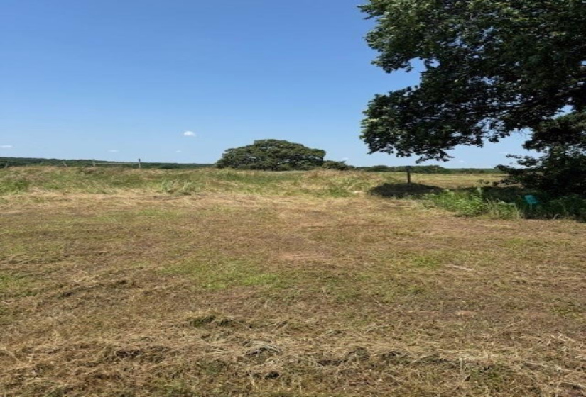 2 Bedrooms Bedrooms, ,1 BathroomBathrooms,Residential,Ranch/farm,11th,1,132186
