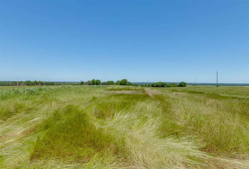 Lots/land,Unplatted,Henney,132212