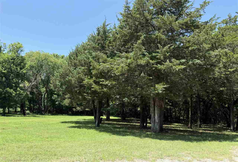 Lots/land,Unplatted,19th,132297