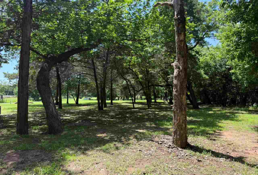 Lots/land,Unplatted,19th,132297