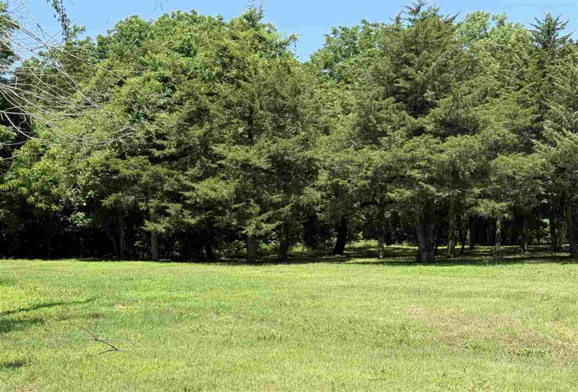 Lots/land,Unplatted,19th,132297