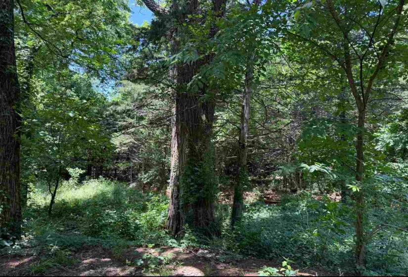 Lots/land,Unplatted,19th,132297