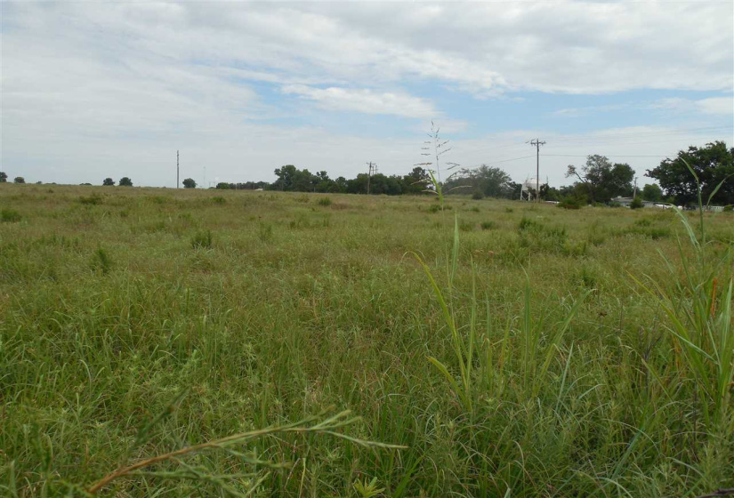 Lots/land,Unplatted,Rose Road,132346
