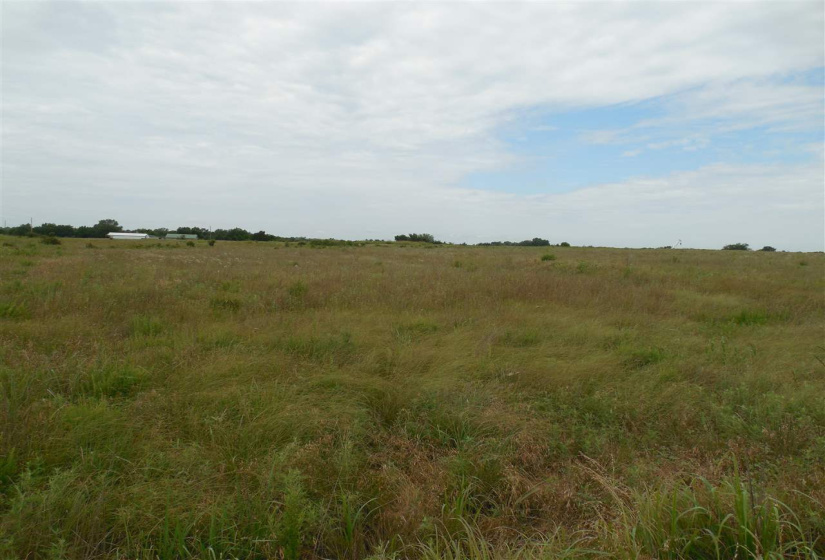 Lots/land,Unplatted,Rose Road,132346