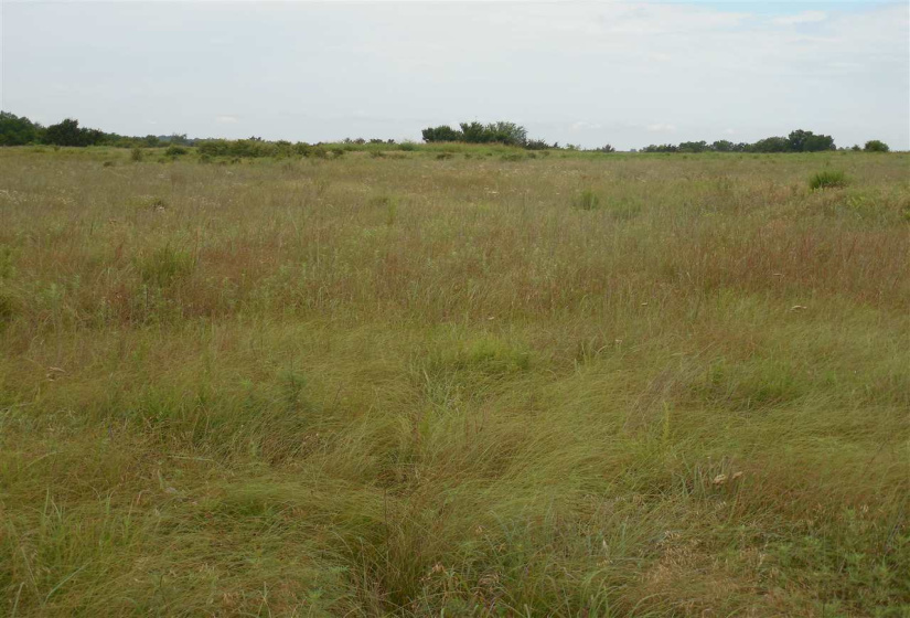 Lots/land,Unplatted,Rose Road,132346