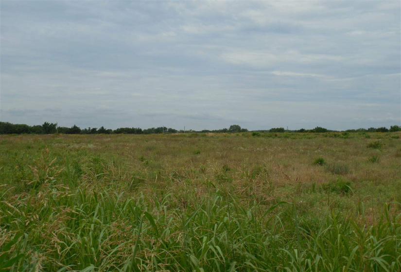 Lots/land,Unplatted,Rose Road,132348
