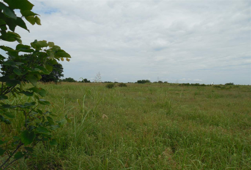 Lots/land,Unplatted,Rose Road,132348