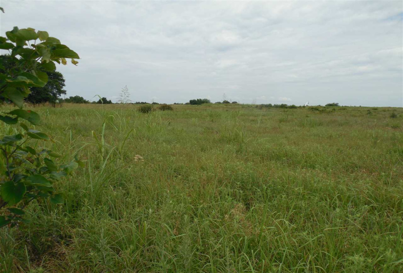 Lots/land,Unplatted,Rose Road,132348