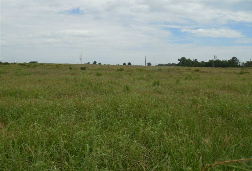 Lots/land,Unplatted,Rose Road,132348