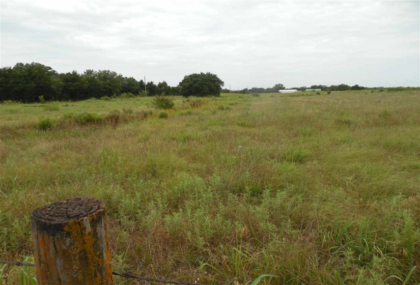Lots/land,Unplatted,Rose Road,132348