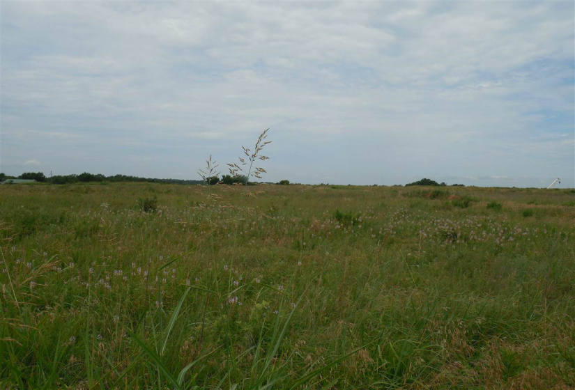 Lots/land,Unplatted,Rose Road,132348