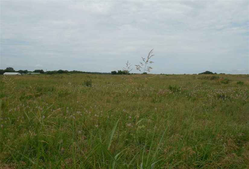 Lots/land,Unplatted,Rose Road,132348