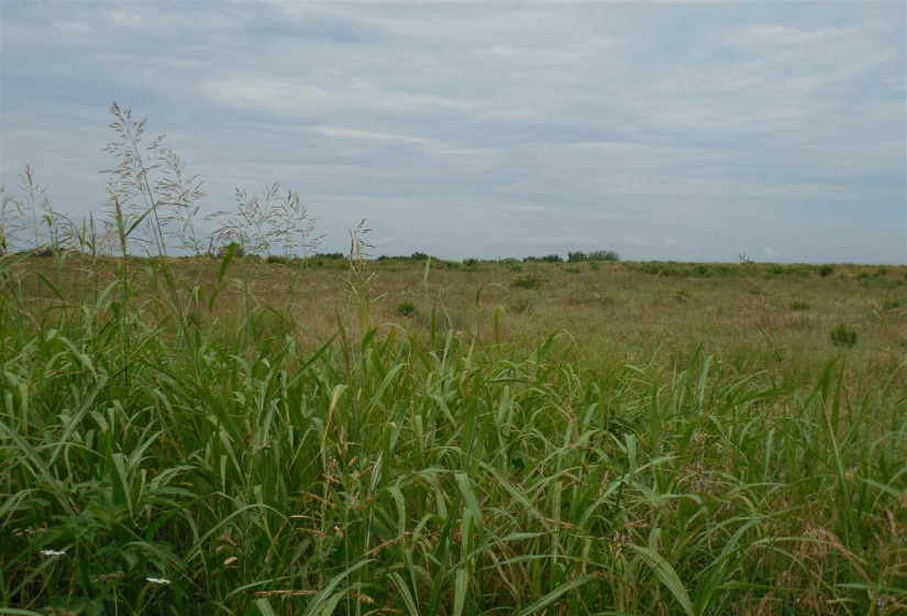 Lots/land,Unplatted,Rose Road,132348