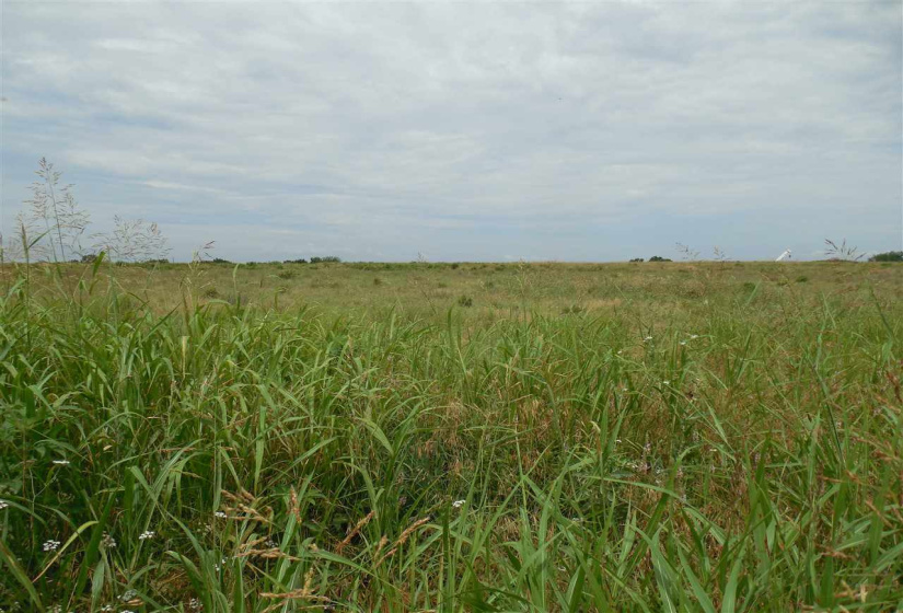 Lots/land,Unplatted,Rose Road,132348