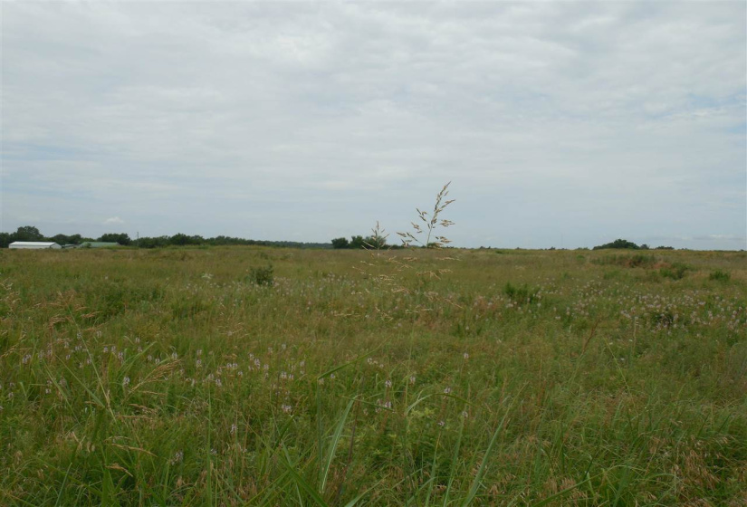 Lots/land,Unplatted,Rose Road,132348