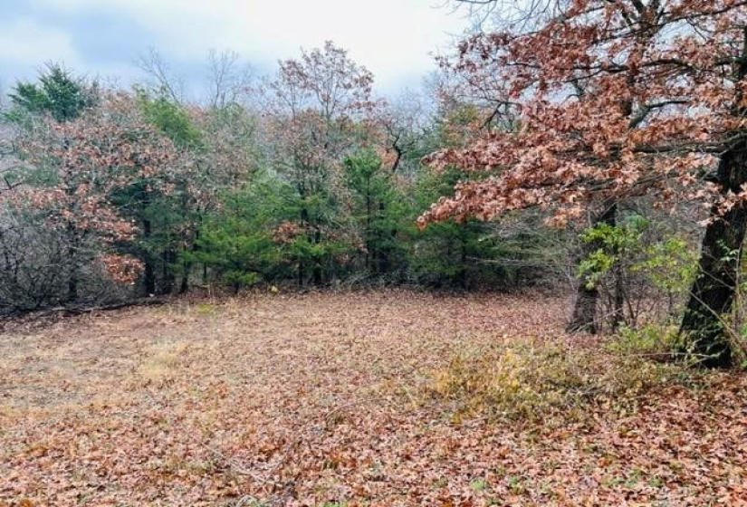 3 Bedrooms Bedrooms, 0 ,2 BathroomsBathrooms,Residential,Single Family,Tower Estates,1,132455