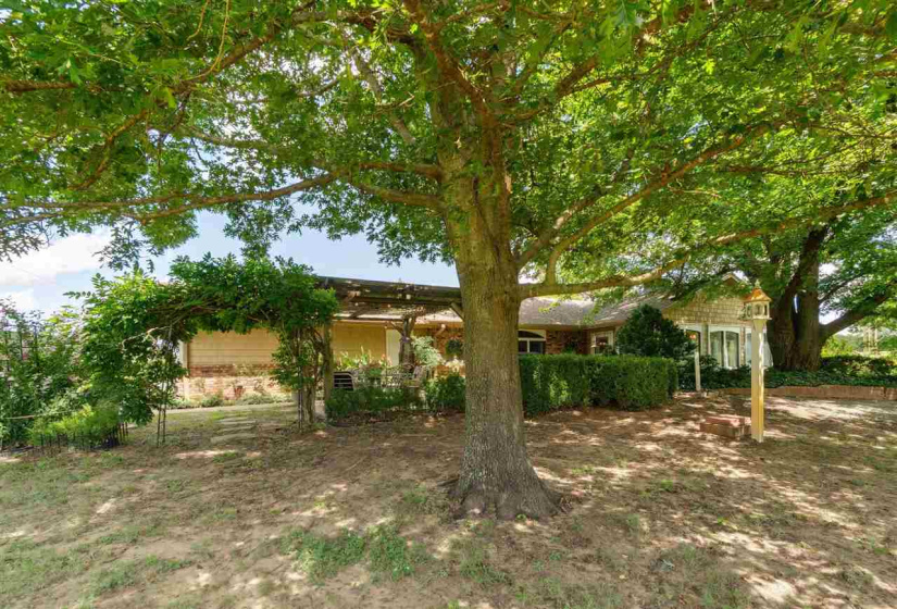 3 Bedrooms Bedrooms, 0 ,2 BathroomsBathrooms,Residential,Single Family,Skinner,1,132456