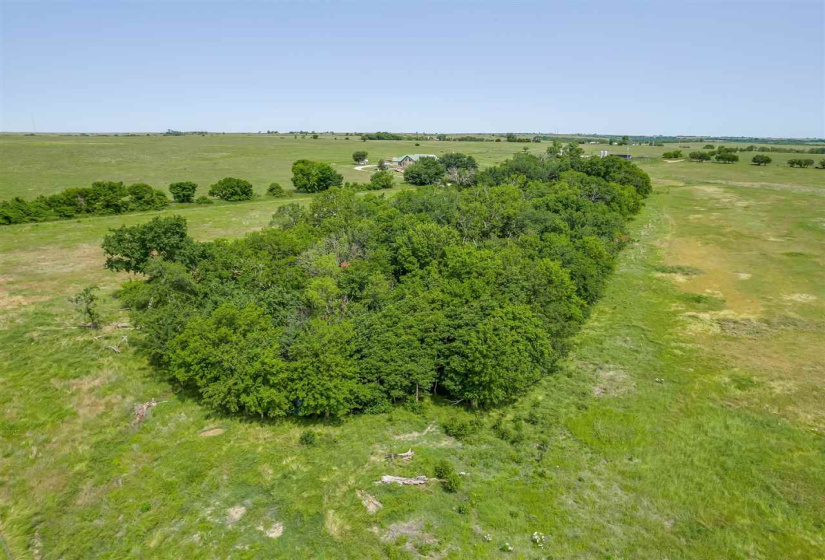 0 , 0 ,0,Lots/land,Unplatted,33800,0,132497