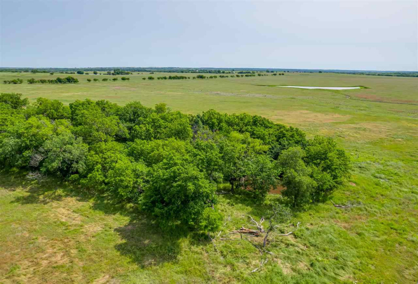 0 , 0 ,0,Lots/land,Unplatted,33800,0,132497