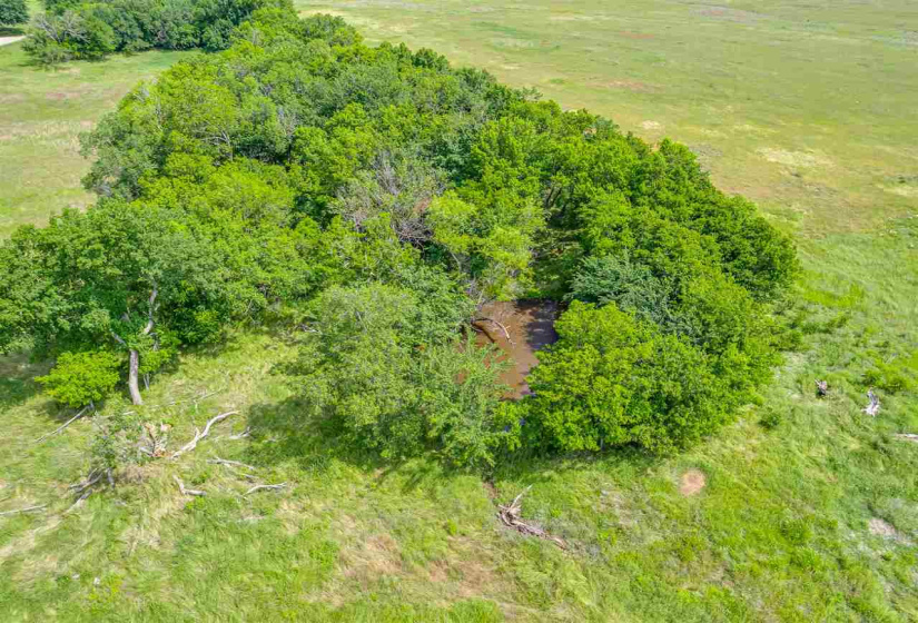 0 , 0 ,0,Lots/land,Unplatted,33800,0,132497