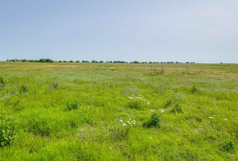 0 , 0 ,0,Lots/land,Unplatted,33800,0,132497