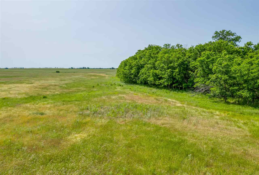 0 , 0 ,0,Lots/land,Unplatted,33800,0,132497