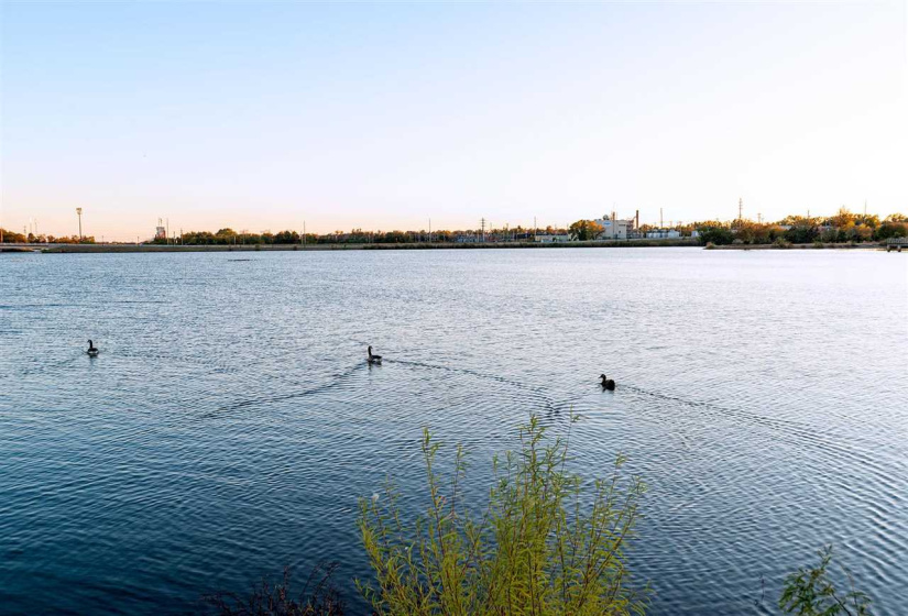 4 Bedrooms Bedrooms, 0 ,2 BathroomsBathrooms,Residential,Single Family,Lakeshore,2,132571